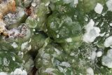 Botryoidal Green Smithsonite & Calcite Association - Greece #206114-4